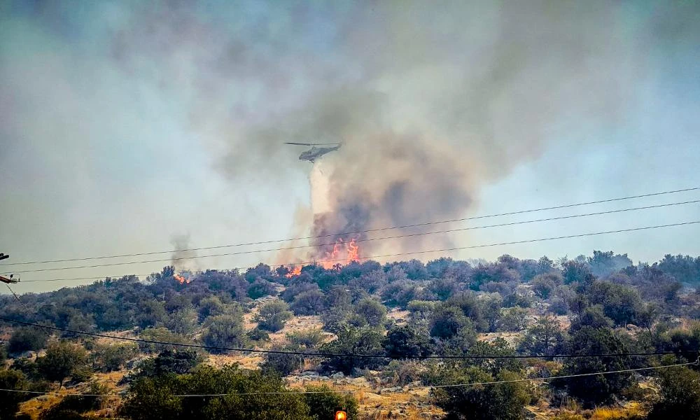 Συναγερμός στην Πυροσβεστική για φωτιά στην Βοιωτία